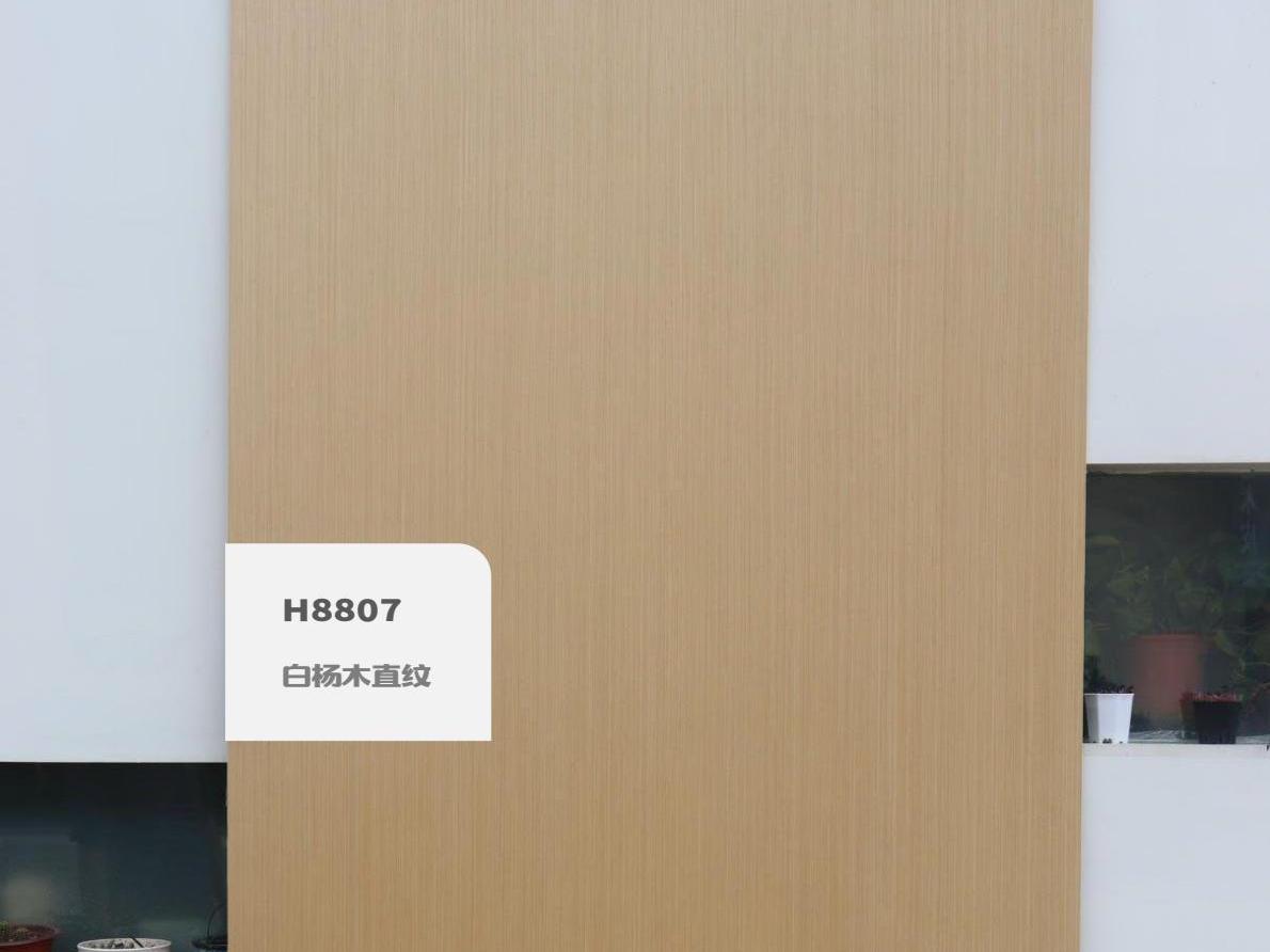 H8807白楊木直紋