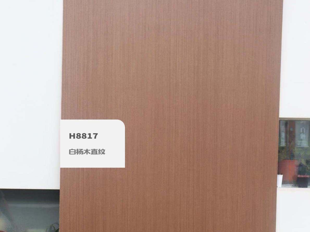 H8817白楊木直紋