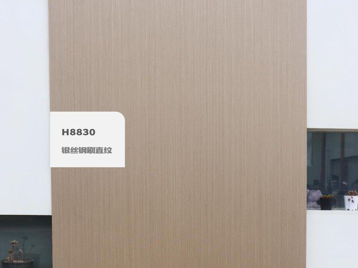 H8830銀絲鋼刷直紋