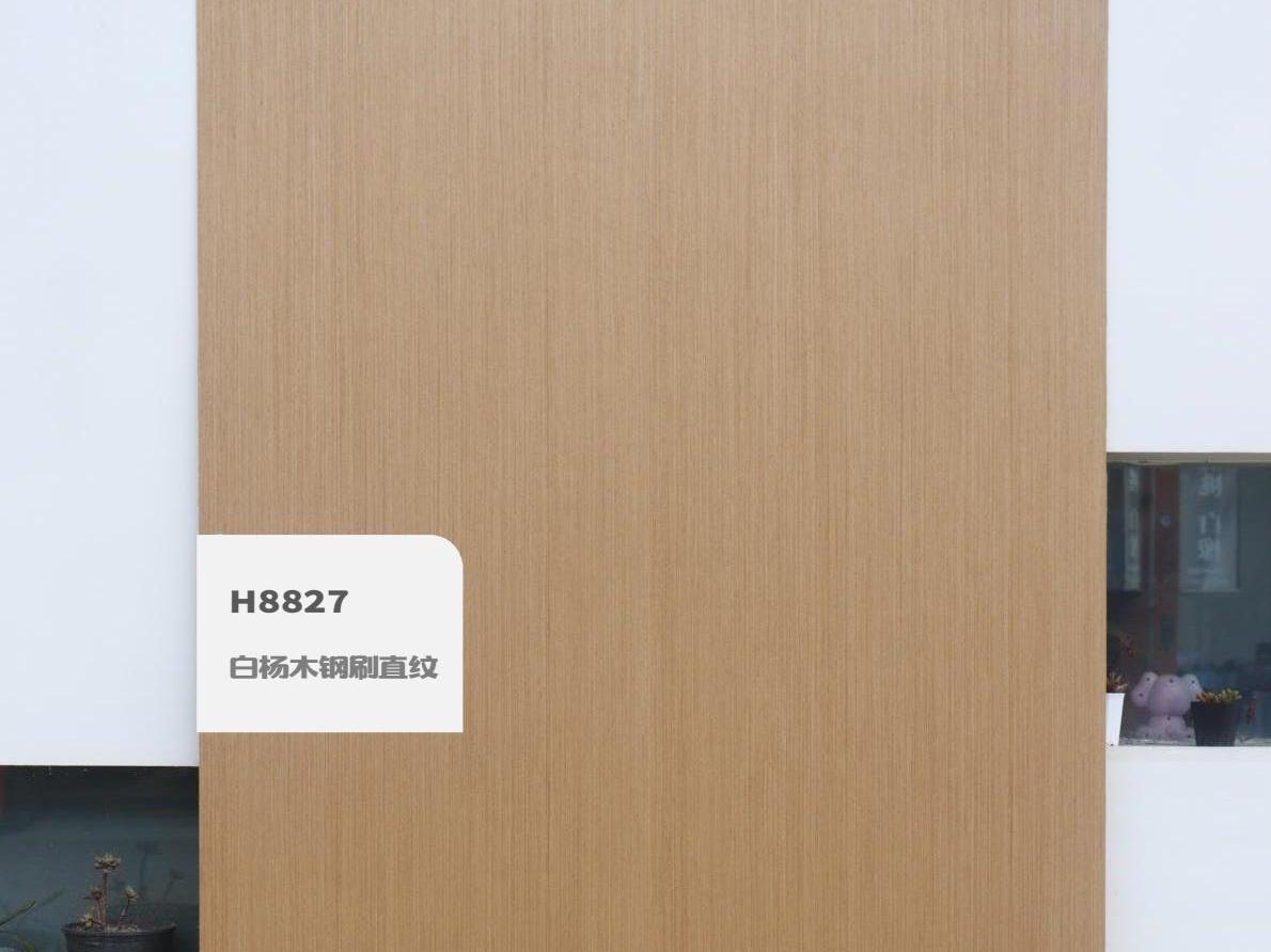 歐雅涂裝板電子樣冊（實(shí)拍） 1-逐頁轉(zhuǎn)圖片-00030